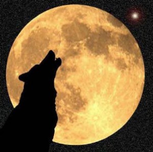 /dateien/uh58338,1283812157,LoneWolf