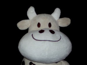 /dateien/uh58338,1288989010,grinsekuh