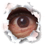 /dateien/uh60450,1283710422,048