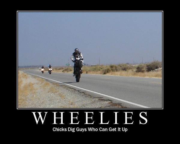 /dateien/uh60450,1290107545,wheelie