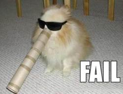/dateien/uh60450,1292361706,fail-dog
