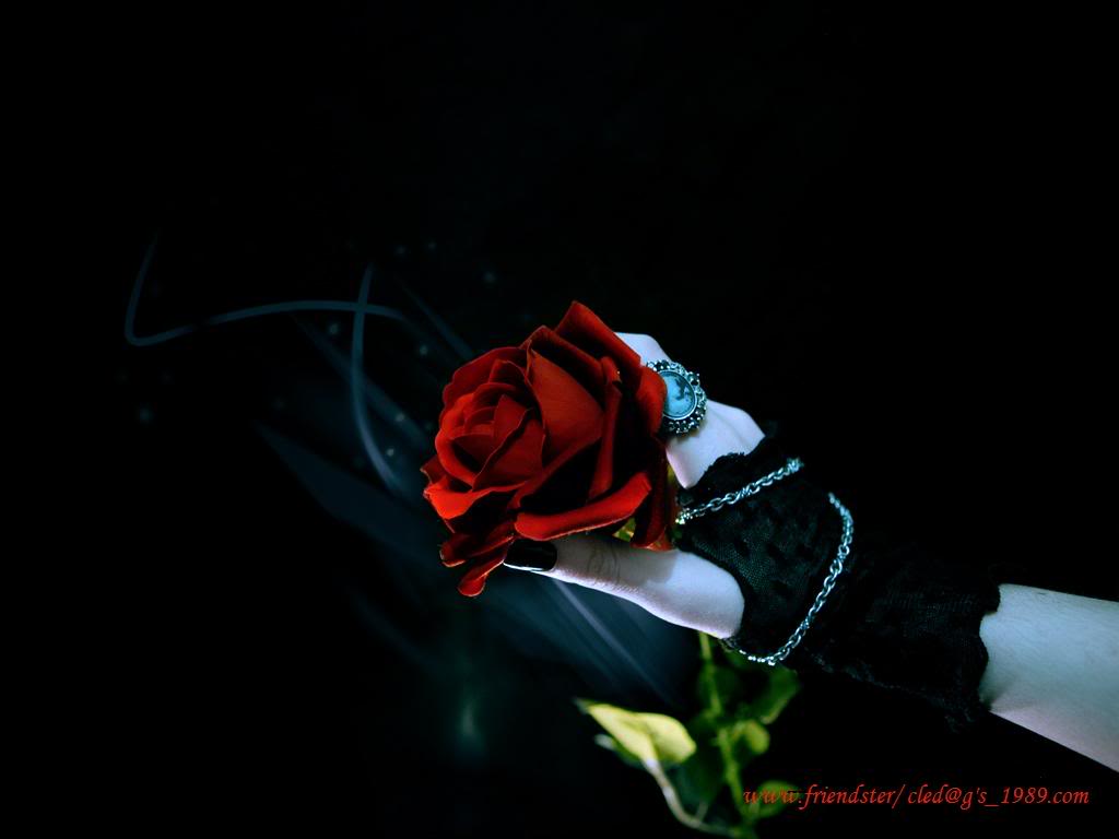 /dateien/uh60831,1283283309,gothic-rose