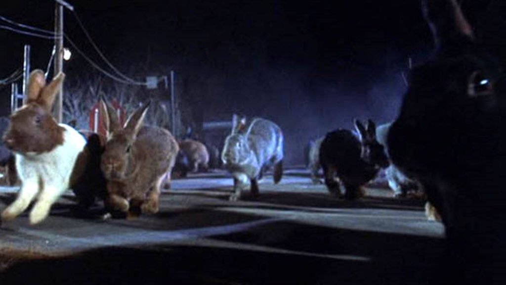 Night of the Lepus