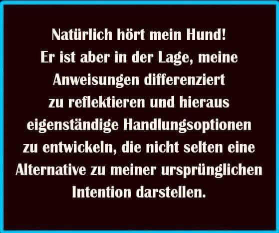 FB IMG 1678177249183
