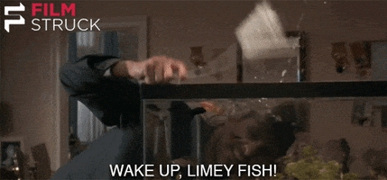 Fisch Wanda gif - Copy