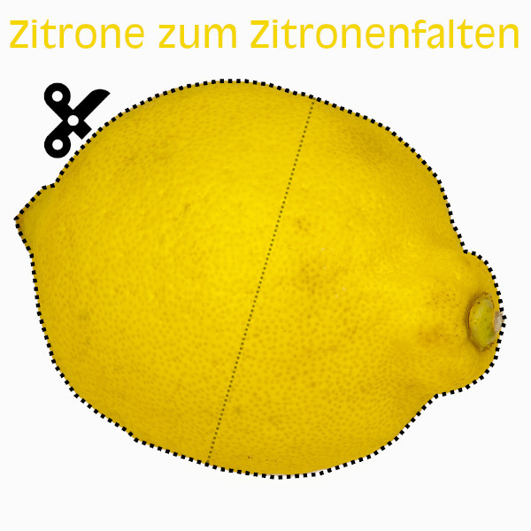 zitrone-falten