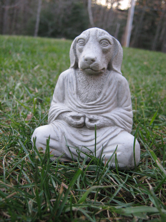 zen puppy