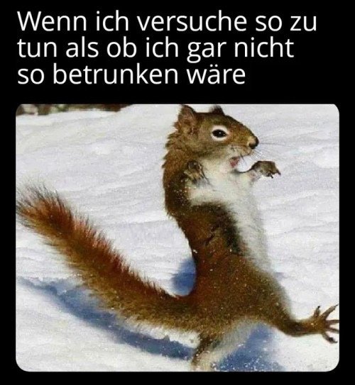 5854813-c0becc3cb109d2926852acda293da14e