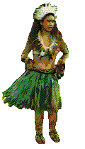 Danza-Hula-66125 2