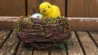 Osternest