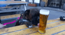 Hund Bier - Copy