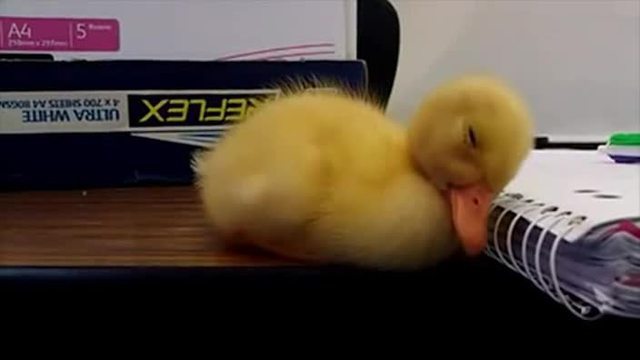 kleinebabyentehatmitmuedigkeitzukaempfen