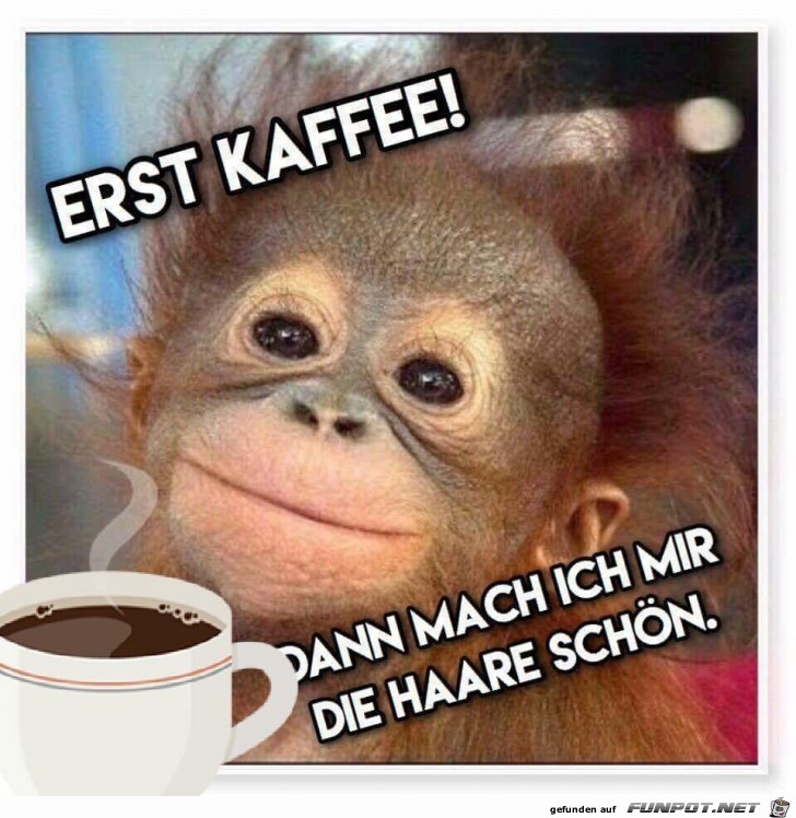 funpot0000297144