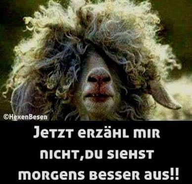 Lustige-Guten-Morgen-SprC3BCche-15