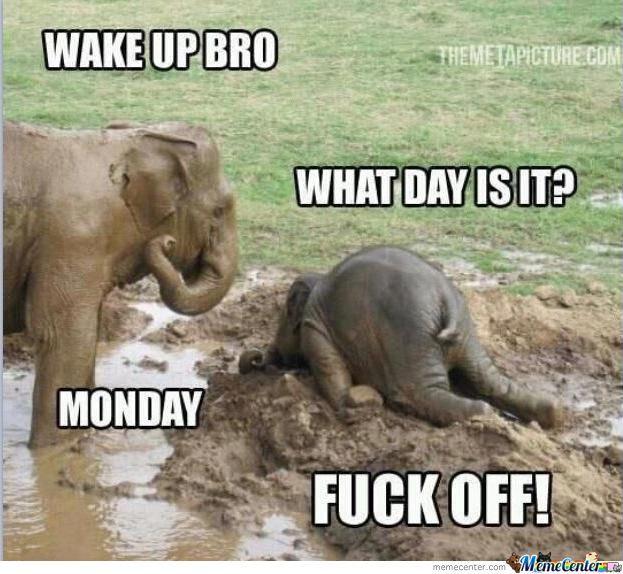 ta56ba9 fuck-off-monday o 790699