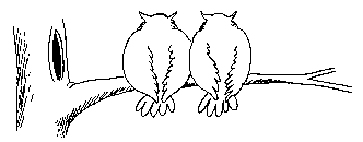 pn 2dab5b2fcc54 uh354941290252617eulen30