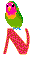 N