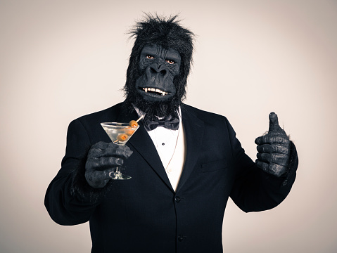 gorilla-in-einem-smoking