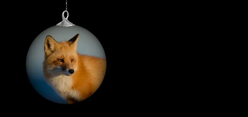 christmas-ornament-2883619  480.webp
