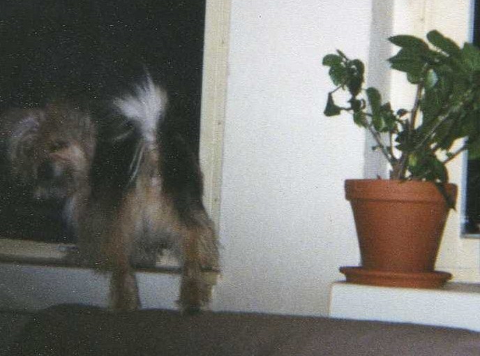 img094  Kopie