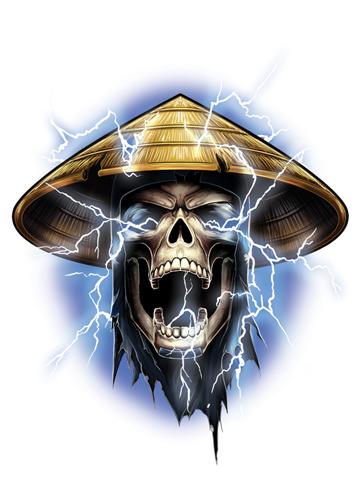 Raiden 800x
