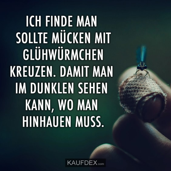 gluehwuermchen-muecken-kreuzen