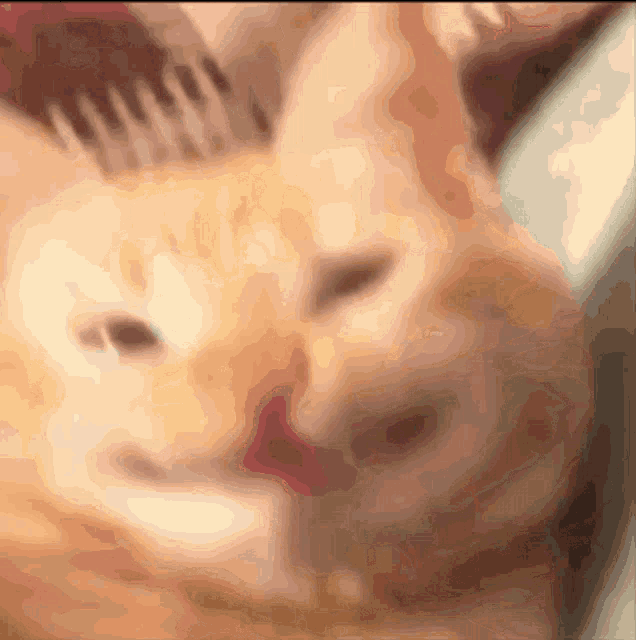 orange-cat-smile-cat-smile