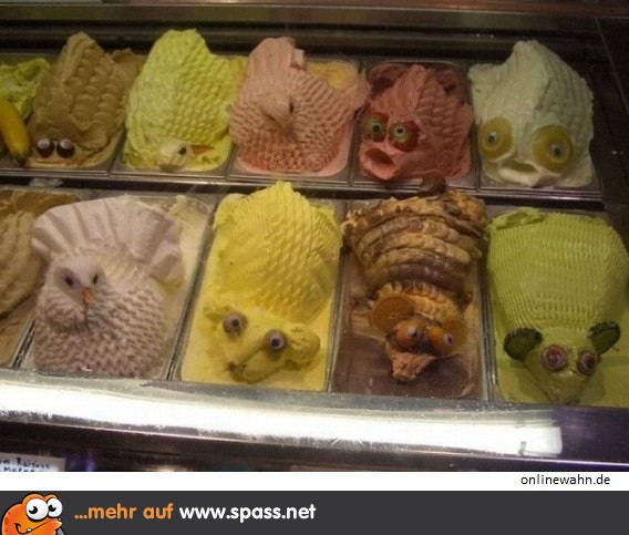 Eis-Zoo-568x443