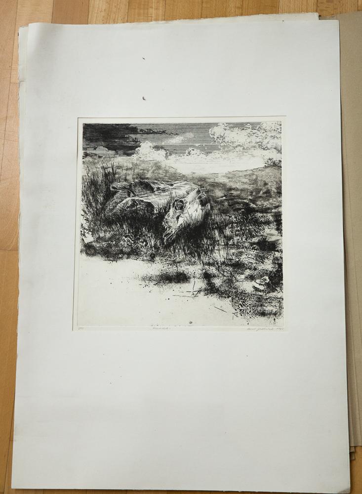 Drucke loseblattsammlung-10