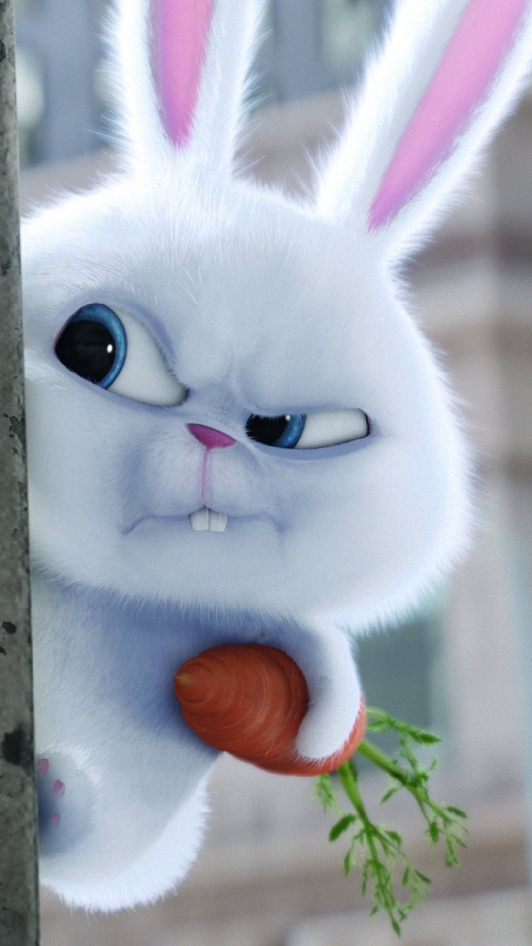 Bunny-7e964686-731e-3a1f-8619-f191b05ada