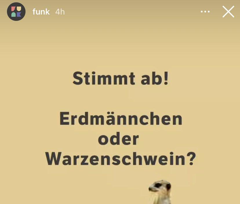 Erdmnnchen oder Warzenschwein - Copy