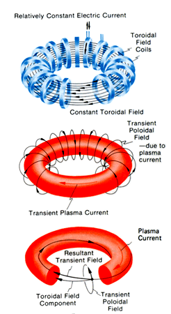 Tokamak fields lg