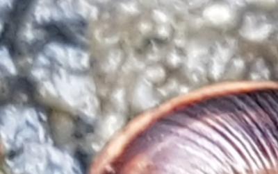 20191104 202228