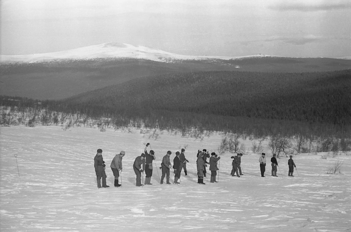 Dyatlov-pass-1959-search-241