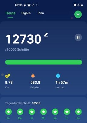 Screenshot 20211218-183644 Pedometer Ste