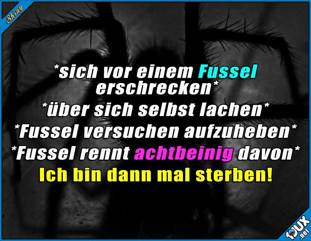 01af26722310817320cfa4ef98e9289a