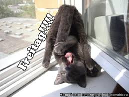 C Data Users DefApps AppData INTERNETEX