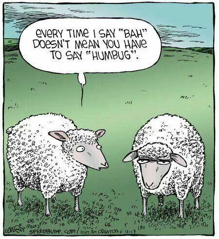6466cb3d4c37494f1a849493dd468145--sheep-