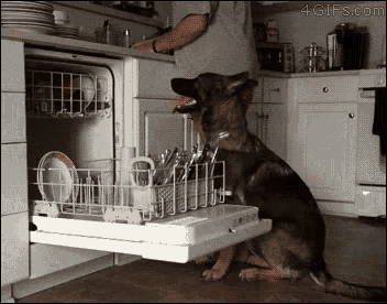 Hunde Abwasch - Copy
