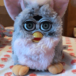 furby