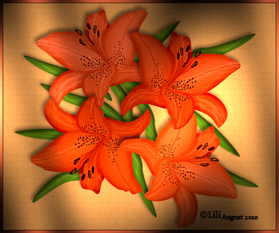 GymL1lilipic