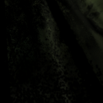 d5380e Deep Forrest thumbnail