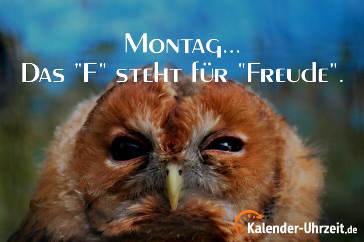spruch-montag-03