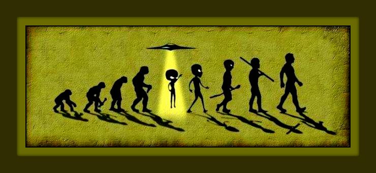 483f4e Betrachte die Evolution der Spezi