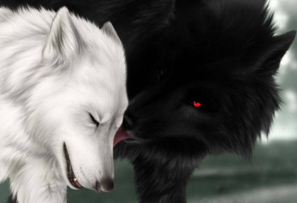 TrueLove