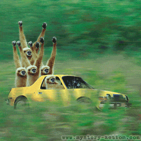 monkeytruck4uu1lz-2