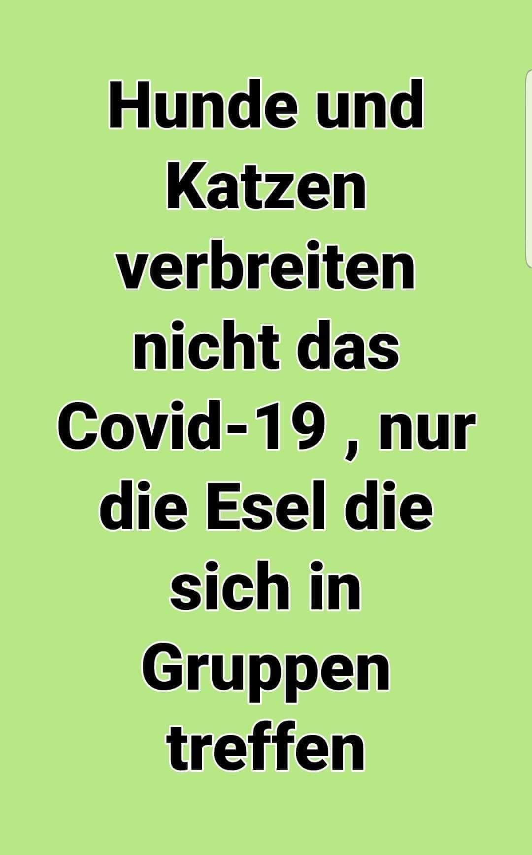 FB IMG 1586615970461