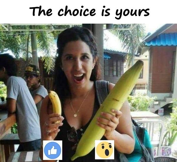 the choice is yours 3417