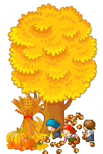 oie overlay