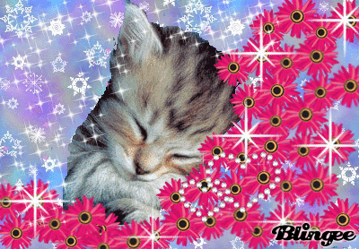 3702cd56603c401e3a3a1c2fdd8ab1d8